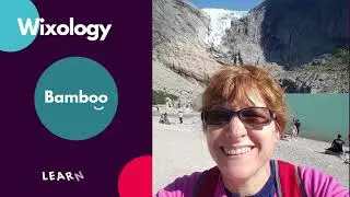 Wixology Bitesize - How to fix and edit the mobile version of your Wix website