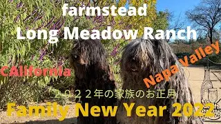 ナパバレー　Farmstead Long Meadow Ranch St.Helena, Napa Valley  (サステナブルレストラン／サステナブルワイン／ファミリーお正月２０２２年）
