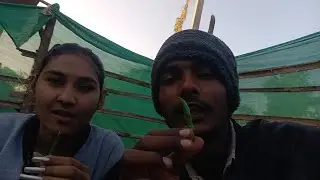 Mirchi challenge sakina our ne 😱