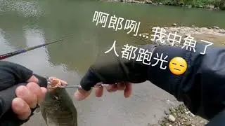 【STEEZ AIR TW】微拋讓我進入神的領域😅 它會算是微拋之王嗎？？？