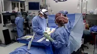 Dr. Marc A. Weinstein, M.D. - Florida Orthopaedic Institute, Spine, Minimally Invasive Spine Surgery