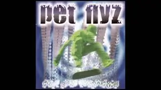Pet Flyz - Too Punk (Youtube edit)