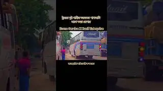 Econo Service X Hanif Enterprise💥Travell With Bus Race