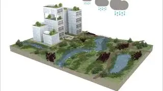 Blue-Green Infrastructure / Blau-Gr&uuml;ne Infrastruktur
