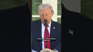 &laquo;Вновь откройте наше правительство&raquo;: сказал Трамп демократам во время выступления