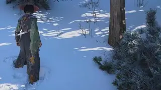 Assassin's Creed Shadows | Destroy the target | Iga Winter Mission