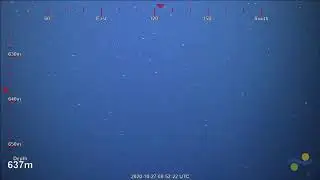 ROV SuBastian Dive 402 (Pt A) - Wreck Bay Plunge Pool, Australia - FK200930