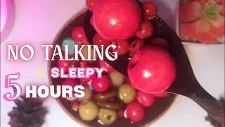 NO TALKING 5 Hours Wood & Beads Soup ASMR Sleep Therapy for Insomnia Relief
