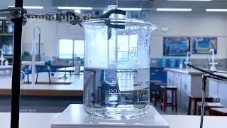Test with 2,4-dinitrophenylhydrazine and Test with Tollens' reagent