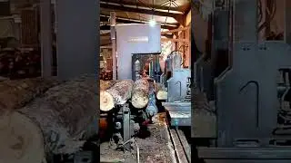 #woodworking #bridgesaw