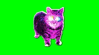 OIIA OIIA AURA Spinning CAT