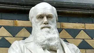 ELEVATOR PITCH! (THE MECHANICS OF EVOLUTION)