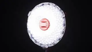 ROTOLIGHT NEO 2