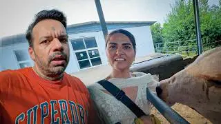 A Surprise at Our Farm !!