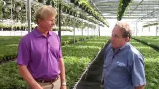 IPM Tips &ndash; Start a Successful Integrated Pest Management Program