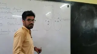 What is asthma | Class 7th science in pashto | Home of biology