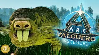 ASA Valguero ROLLRAT BUG #21