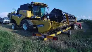 ŻNIWA 2021 / KOSZENIE PSZENICY JAREJ / GR HEROK / NEW HOLLAND CX 6.80 /NH T6030/URSUS/VOLVO/Cz 2/2