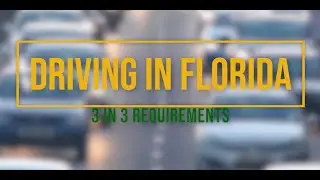 Driving in Florida: 3 in 3 Requirements