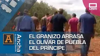 El granizo arrasa el olivar de Puebla del Príncipe