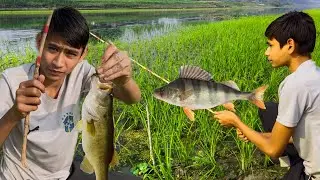 Village Fishing Day / Boys Land a GiantFisl #fishing #video 