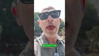 Эти мельчайшие детали делают рококо легендарным.