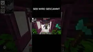Seb wird gescammt  #chaos #memes #seb #minecraft #funny #fun
