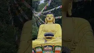 Йога в буддийском монастыре в Непале #непал #travel #горы #йогатур #yoga #nature