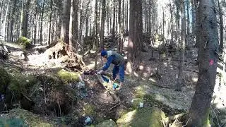 Trnovski gozd