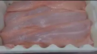 IBtrade- FSDS 496 Nock - Skinning and defatting of salmon