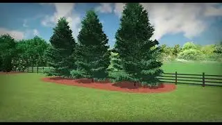Privacy Trees Vol. 1