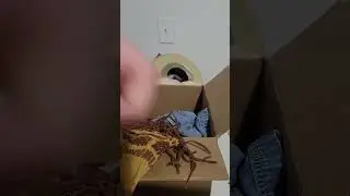 Opening a box from my old ebay account. To list on my current ebay account 