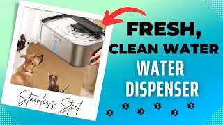 Keep Your Pup Hydrated with This Stainless Steel Dog Water Fountain!  #ad