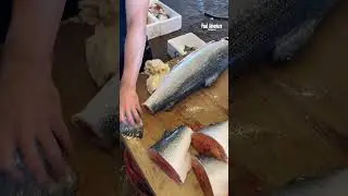 Unbelievable speed! sushi chef cuts salmon like a master#SushiChef #FoodArt #JapanVibes