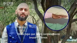 ¿Qué es la malaria y cómo combatirla?