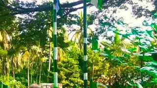Janathadal (S)-Chittur Niyojaka Mandalam