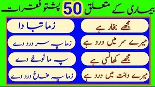 Urdu To Pashto Easy Translation (Special For Biggneres)