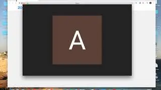 How to KEEP ZOOM on TOP?
