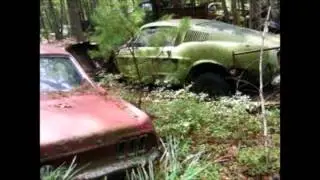 Cash For Junk Cars Gainsville Ga - 678-632-8526