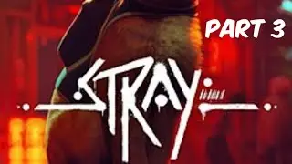 Finding The Doc-Stray Part 3