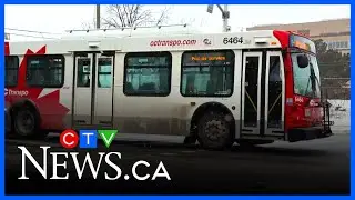 OC Transpo service improving after trip cancellations