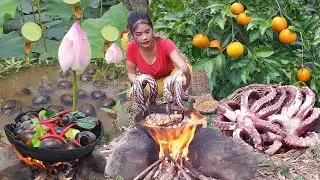 Life in jungle, Catch and cook snail for food in forest, Octopus arm tasty cooking dinner, +6 video