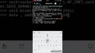 Python network programming #3 Creating UDP Client and Server using sockets
