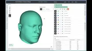 HumanShapeApp 2026 01 Head Model Demo: Boundary Cases and Accommodation