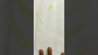 Diy craft#bunch of leaves#drawings#shorts