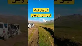 Track To Gaall valley Gittidas Babusar Top Kaghan valley