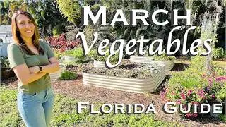 What to Plant in March in Florida | Vegetable Garden Guide
