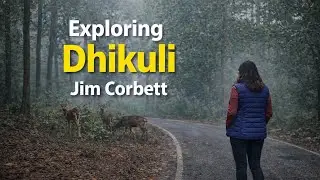Why Everyone Stays in Dhikuli | Jim Corbett Vlog