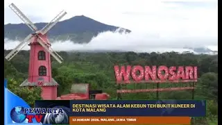 Destinasi Wisata Alam Kebun Teh Bukit Kuneer Di Kota Malang