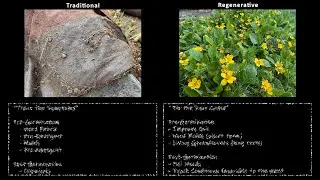 Traditional vs Regenerative Landscaping Comparison
